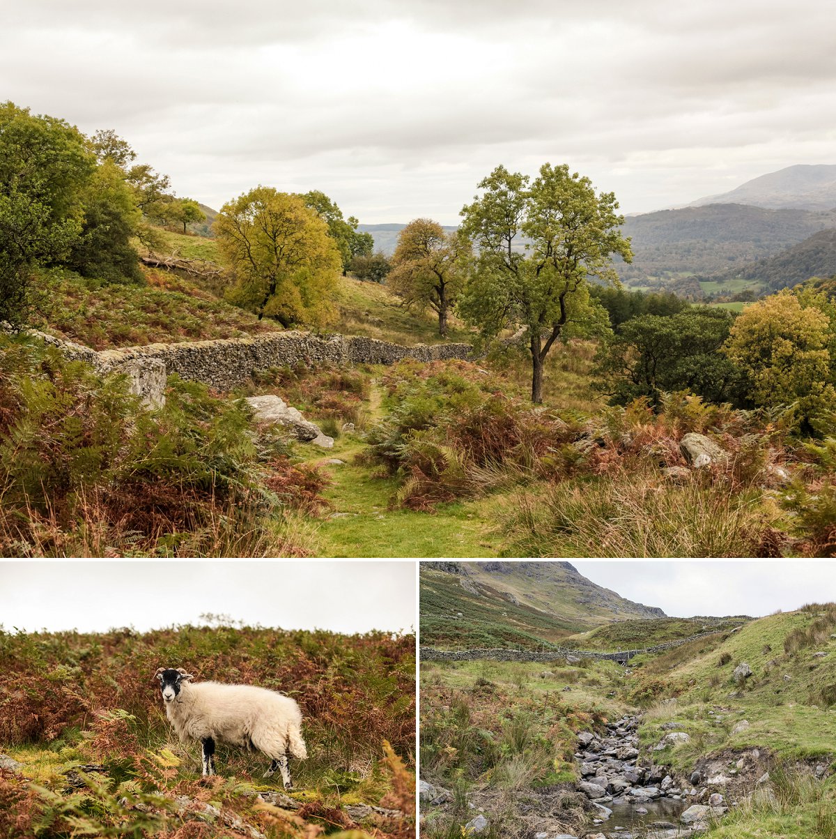 Lake District Angleterre