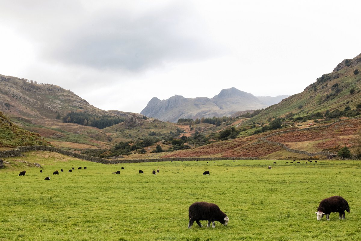 Lake District Angleterre