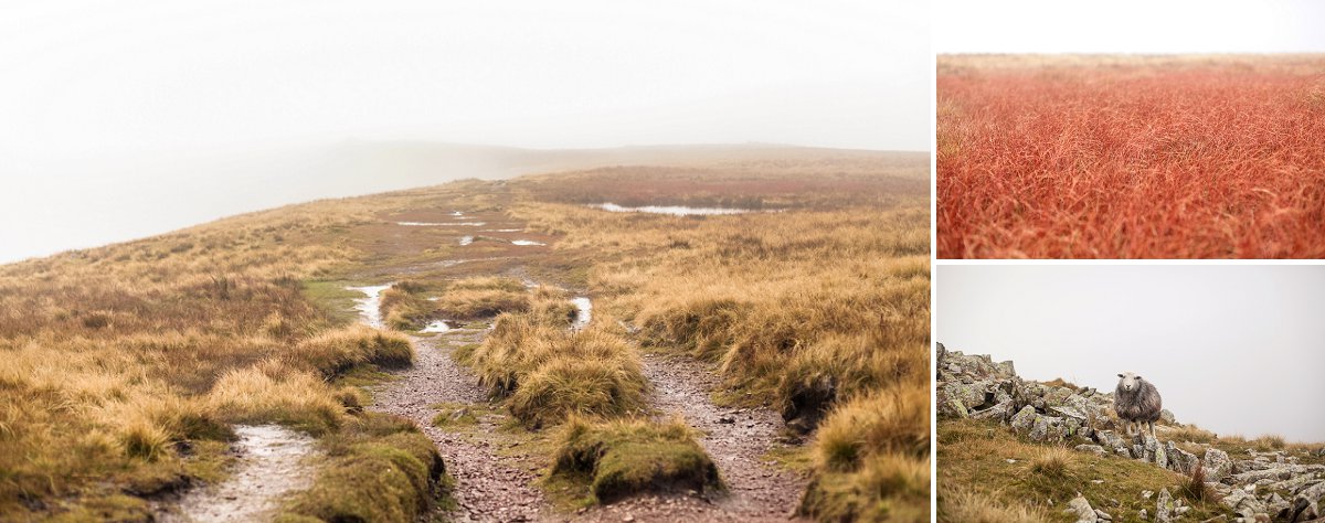 Lake District Angleterre