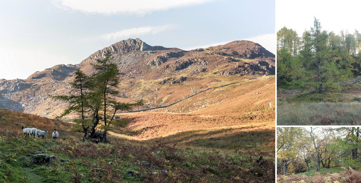 Lake District Angleterre