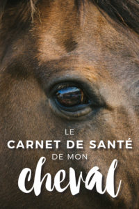 Carnet de santé cheval